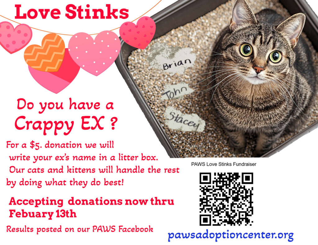 Love Stinks flyer with a QR code for donations