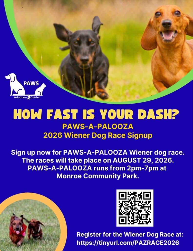 flyer with two dachshunds running and information about signing up for our wiener dog races